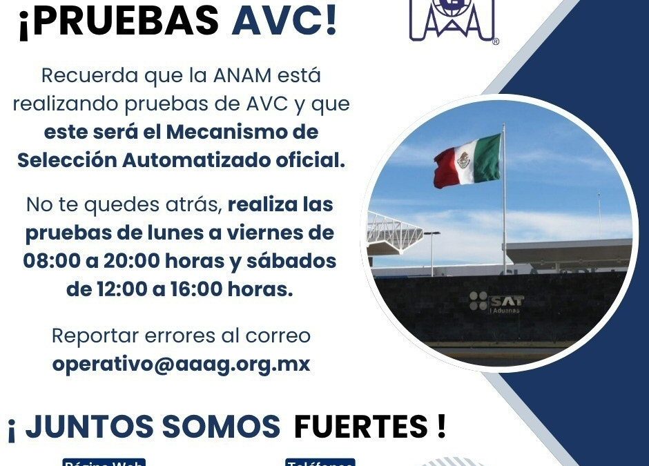 ¡PRUEBAS AVC!